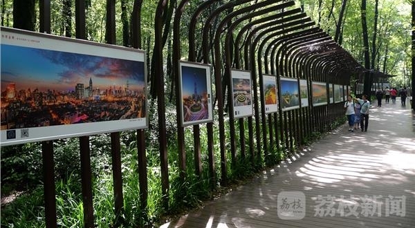 �������ڣ�����ȥ�����ļ����ꡱ��Ӱ��Ʒչ