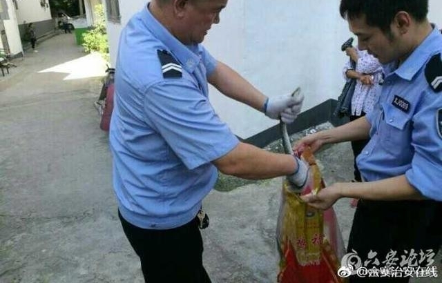 金寨:巷子突现大蛇,惊悚巷人
