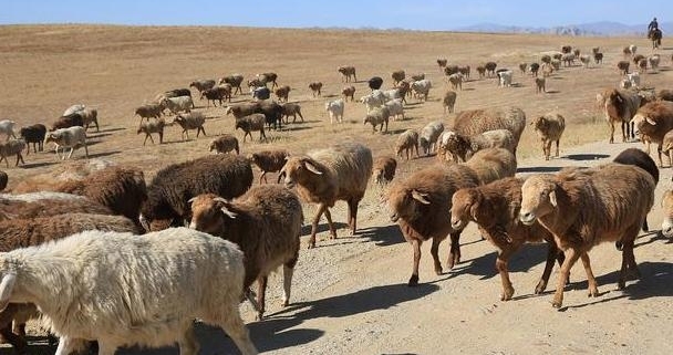 ��������ʮ������ת���＾����