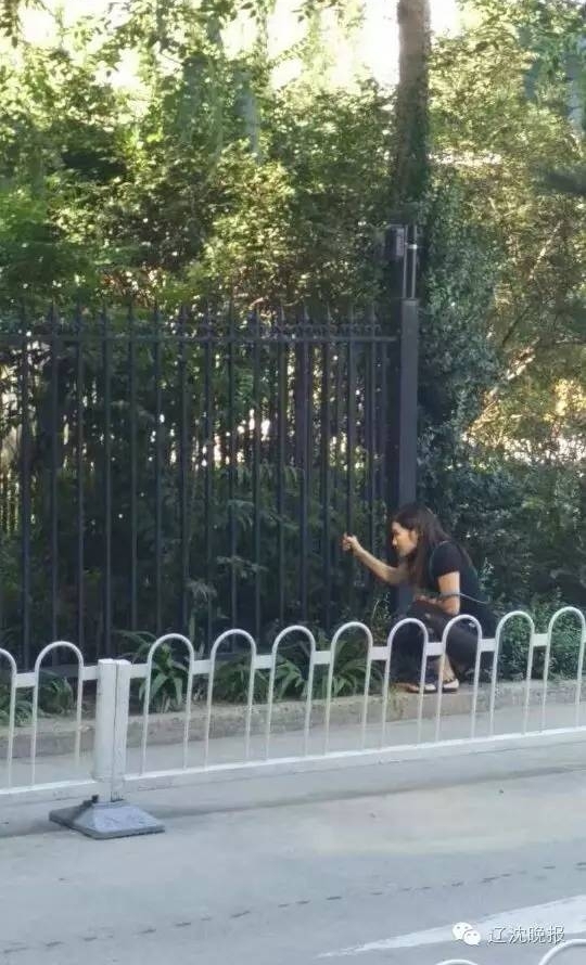�ֵ���ѧ�� �ҳ��׷�ʹ�������ж��ž���