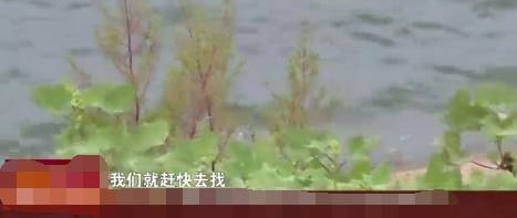 �����û���£�С��������ѧ�ˡ�