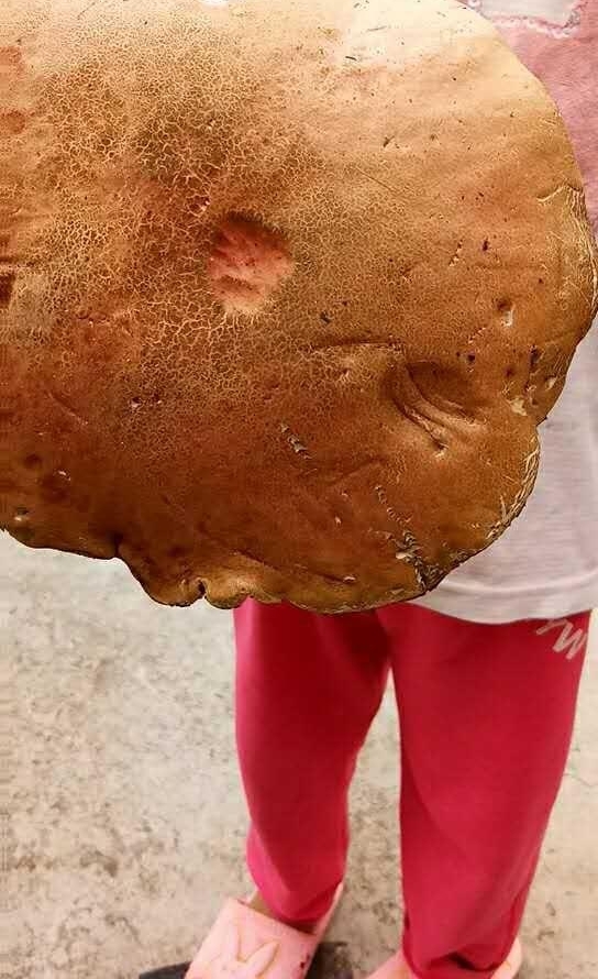 �����ްԡ�Ұ��Ģ����һ�μ� �г���80��Ԫһ�� ����Ц�úϲ�£��