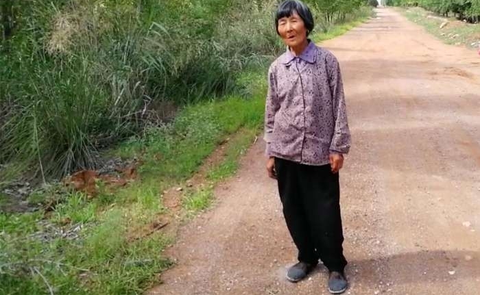 老夫妇沙漠开荒80亩 却是这样的结局