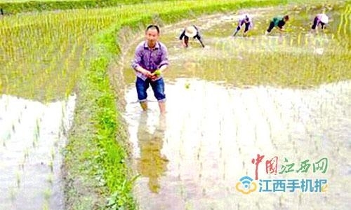 ���̻ؼ� �������ֳ��¸�·