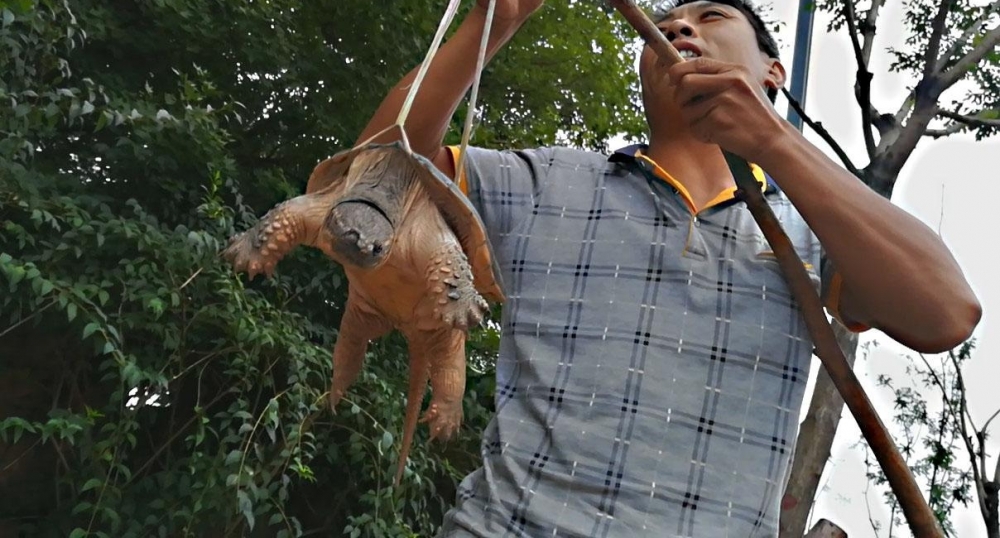 ���ӽ�ͷ����������ꡱ �߼���ҫ��ʶƭ��