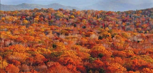 五花山色美畅爽龙江时