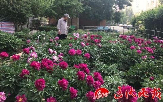 10�껨10����Ԫ����԰����Ѯ�����������β���