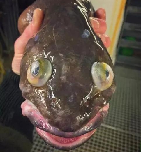 �����Щ���⶯�� ���кܶ඼�ǵ�һ�μ�