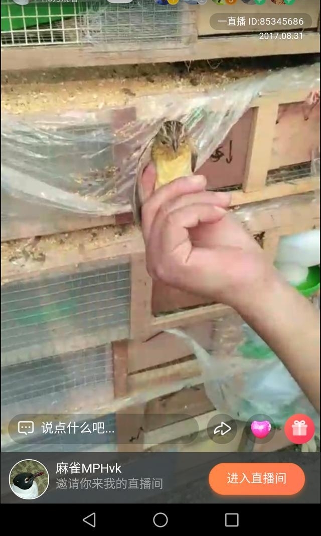 ���������Լҹ�һ�����ڷ��ֲ��ԡ�Ȧ��Ұ������Ƿ��ѵ�