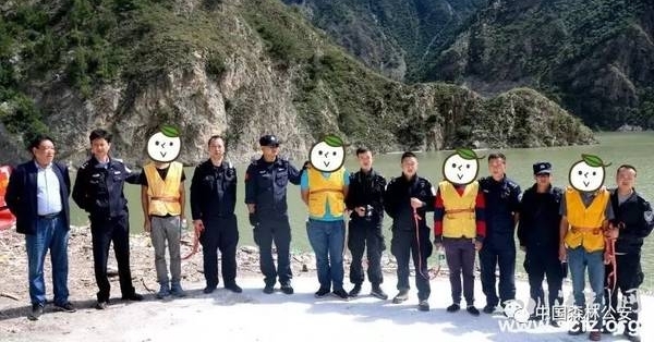 热点关注 | 痛心!多株百年老树惨遭毒手!