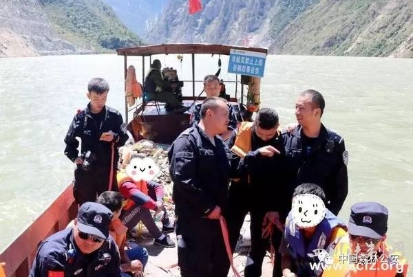 热点关注 | 痛心!多株百年老树惨遭毒手!