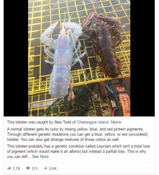 ������������顱��Ϻ�������ؼ���