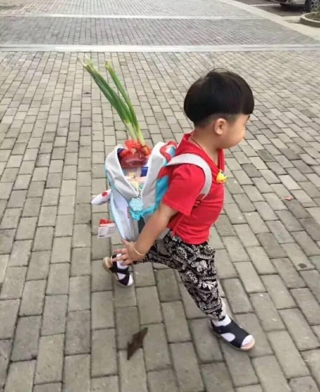 ��ѧ���գ����С�к������С�ȥ��ѧ����
