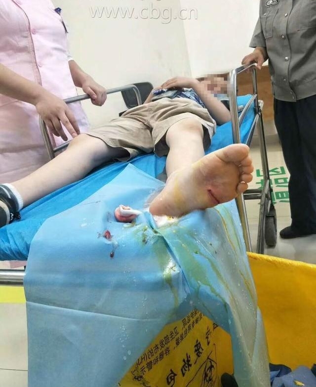 �к��ȵ�������ľ�� 8����������������