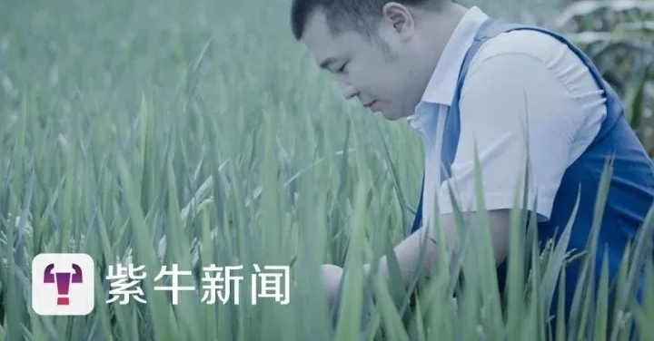 【紫牛故事】一万元收的一瓶酒,7年后拍了135万——“寻酒人”讲述老酒的故事