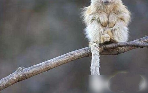 ������������ϡ�����Ϊ����Ĳ��̱��������