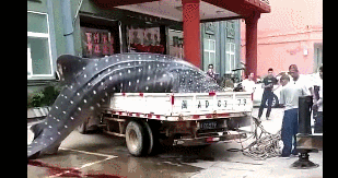 ���Ѿٱ�������ϼ��һ�����������;����������и����