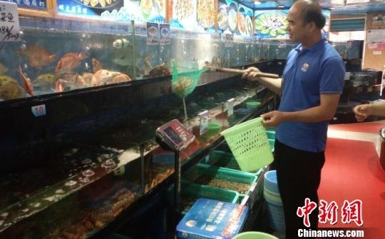 �������� �������ξ��조����Ѳ�ߡ�ά���г�����