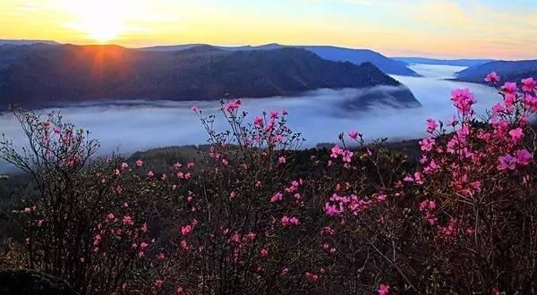 �ذ�������ʾ����������ú�������2�У��쿴���������