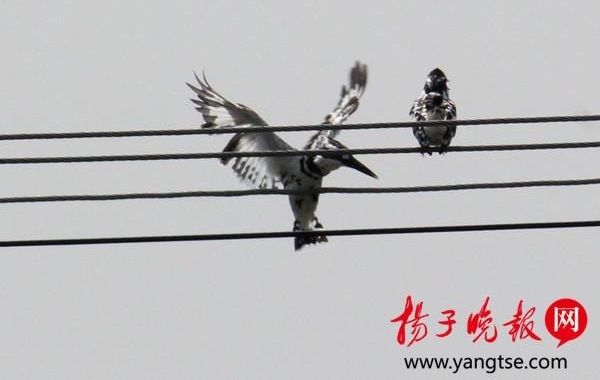 �Ͼ��𴨺Ӿ�����ϡ������㹷 ٲȻһ��ˮī��