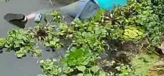 ̩��̩��һ15����Ů�����������ڼ��ſڵĺ���