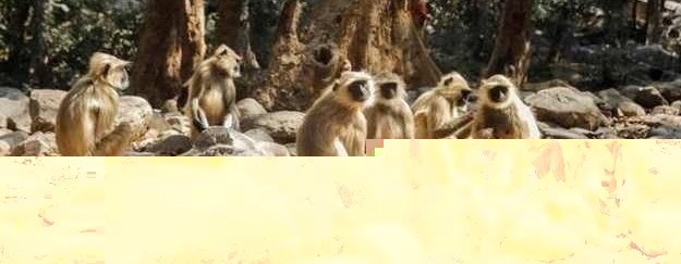 ĸ�׽�Ů�������֣�����������8�꣬�ȳ���һĻ�����Ǿ���