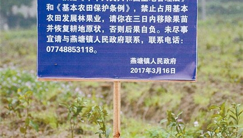 在农村,这些行为看似很正常,其实都是违法行为,别再这样做了!