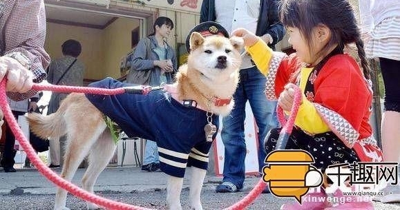 �ô��ȣ���Ȯ���Ʒ�ֵ����������