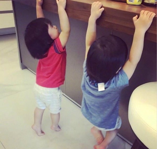 林志颖双胞胎儿子用吧台做拉杆 1岁多就懂健身?