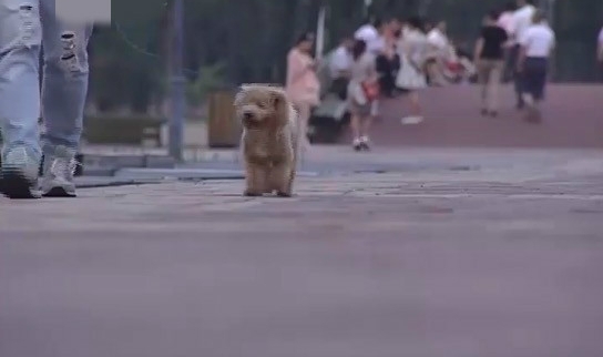 ����һŮ�Ӱѹ������� ���˹���·��ײС�����Ⱦ���