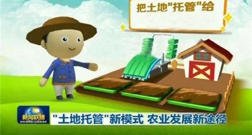 农村朋友,如果你敢尝试这赚钱方式,相信定能赚,赚了要请我吃饭