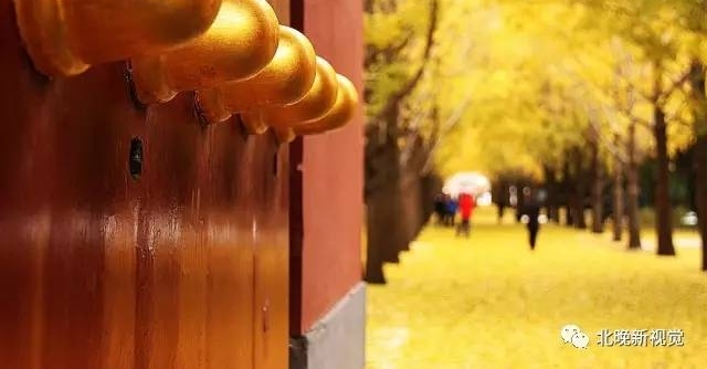 �������ļ�ɫ�ʸ��в�ͬ�������ܿ���������