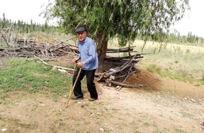 老夫妇沙漠开荒80亩 却是这样的结局