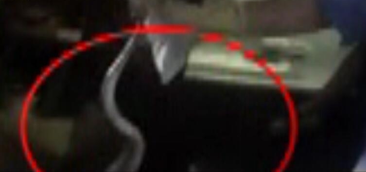 ��Ƶ��1�׽�ɫ��������������ⷿ ��·����������Ѩ����ͽ������