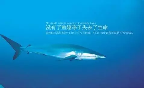 党报:到底什么事 让这国家的人对中国人如此愤怒?