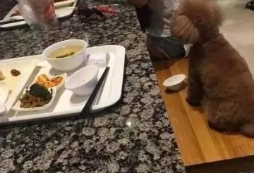 �����ò�������ι������Ա����δ��ֹ ����＂ը�?��