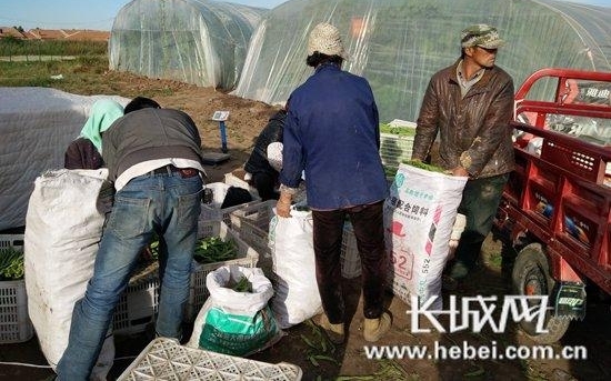 �ųи���Ϊ�ܶ����ʿ���һ��ͨ��
