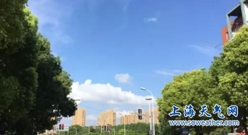 �Ϻ���������� �������29�� ���������
