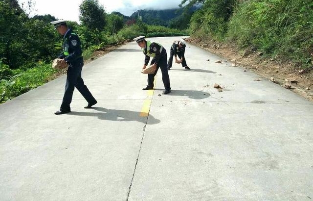 ǿ����ʩ ����̰� ���ػ��������ж�����·�����ս�߳�