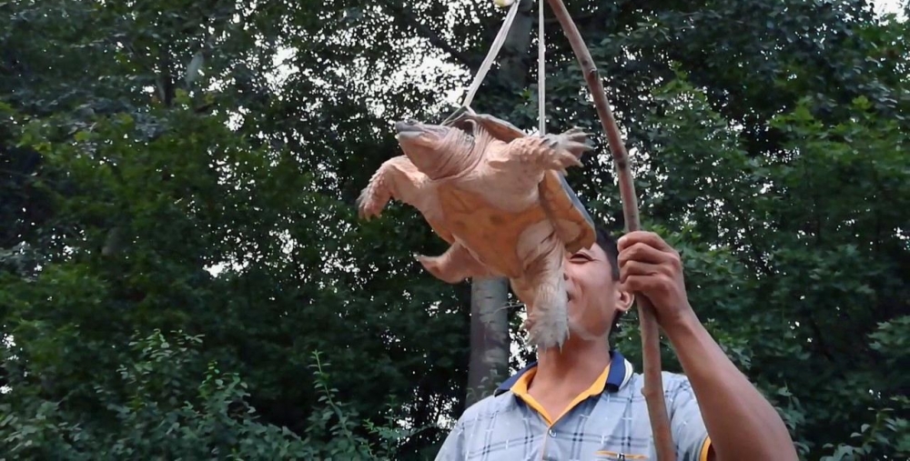 ���ӽ�ͷ����������ꡱ �߼���ҫ��ʶƭ��