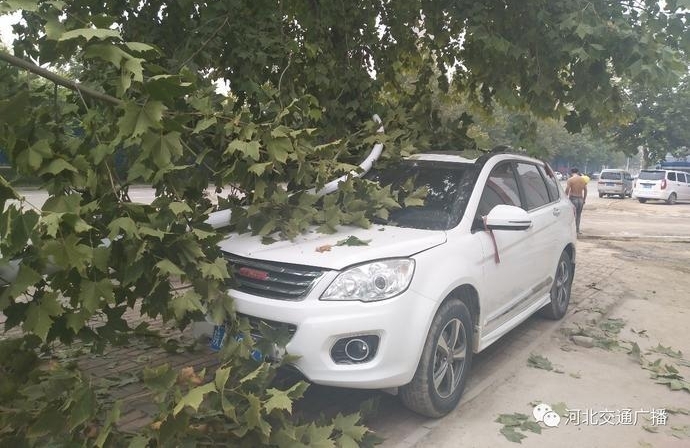 ������ײ�������������¹� ��3������