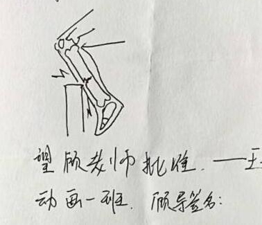 ��ѧ���ֻ������������ͷ���ử�������������