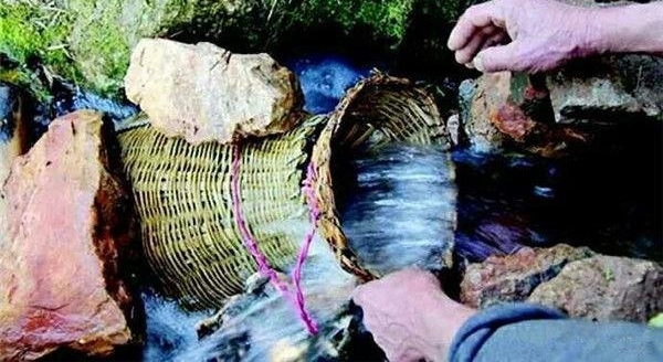 山里的小洞口一年流千斤鱼,但只在清明节流出,专家称这鱼是稀有