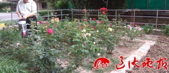 10�껨10����Ԫ����԰����Ѯ�����������β���
