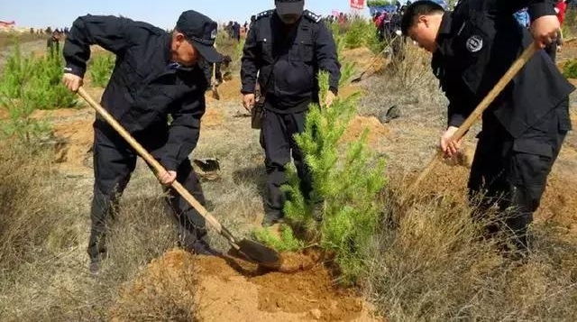��˵�������������ʮ������Ա��λ