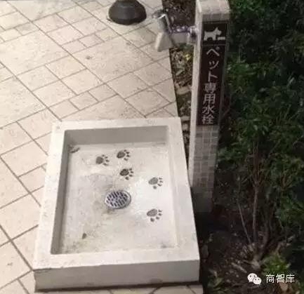 �ձ��̳�����������20��ϸ����ס�˹˿�