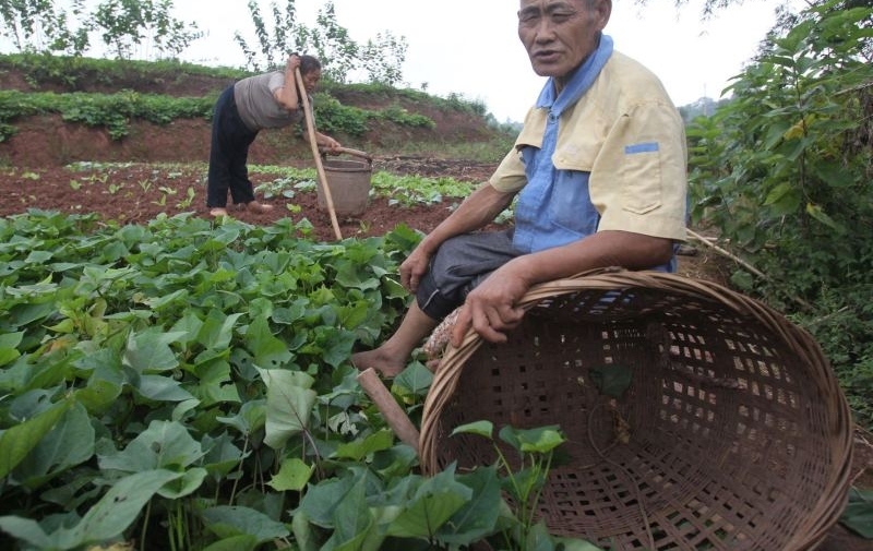 六旬老人背妻29年:一个没有视力 一个走路不好