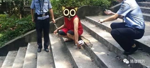 �ֲ�����ҹ�����Ů��ʿͻȻ��һֻ���ִӸߴ����£����������������˶�ŭ�ˡ���