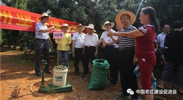 Ц�ݡ�Ц������2017�����Ϫ�м���ֳ�������