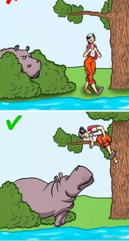 ���ܣ���Ұ�޹�����ô������